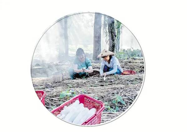 1756443910929540.jpg 17.jpg