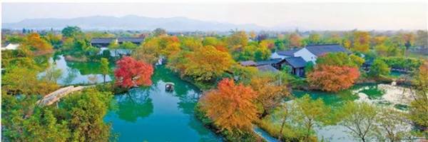 1756443935439870.jpg 20.jpg