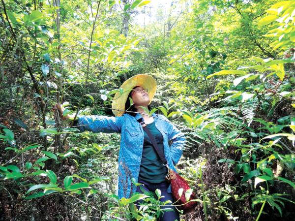 1756444114472603.jpg 21.jpg