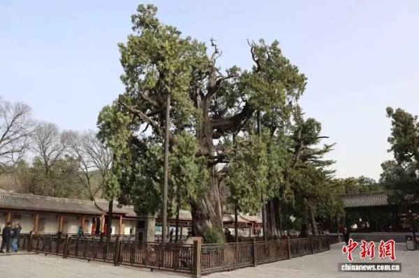 1756869609904837.jpg 2.jpg