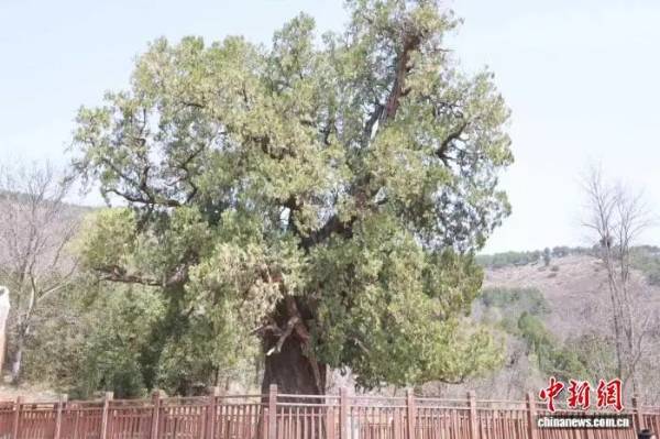 1756869618274236.jpg 3.jpg