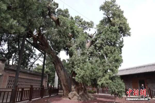 1756869627443308.jpg 4.jpg