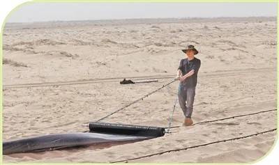 1756869888688127.jpg 5.jpg