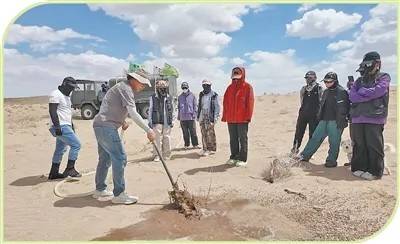 1756870062230332.jpg 6.jpg