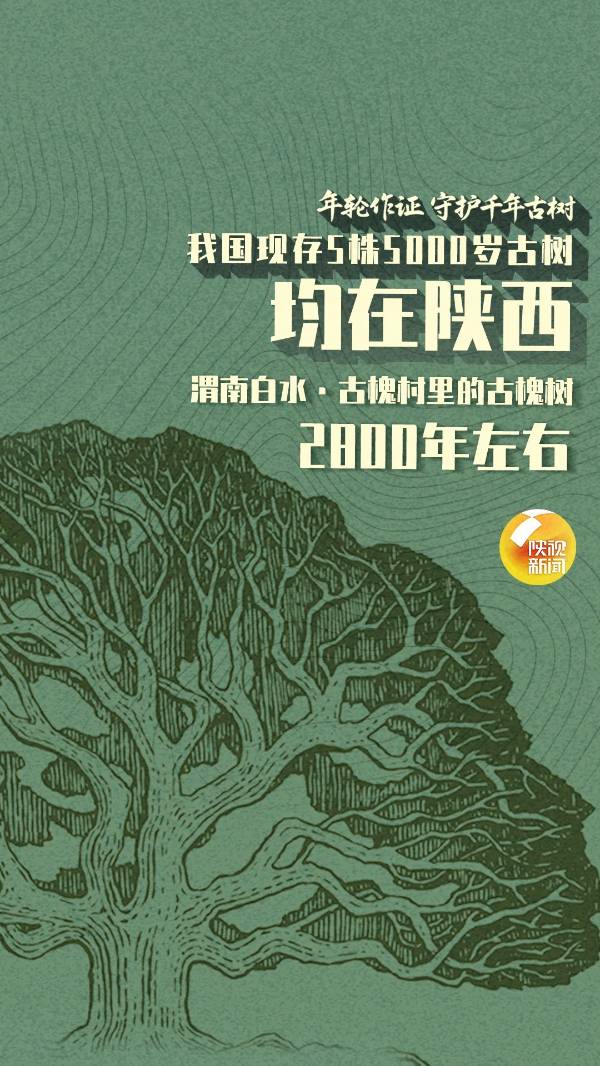 1756875823976334.jpg 7.jpg