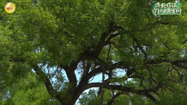 1756876024902233.jpg 9.jpg