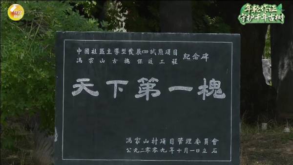 1756876034275927.jpg 10.jpg