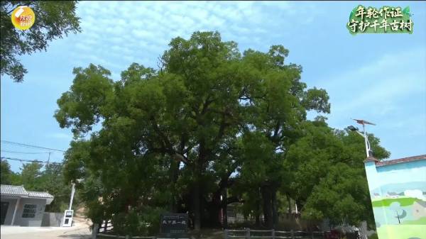 1756876037839502.jpg 11.jpg