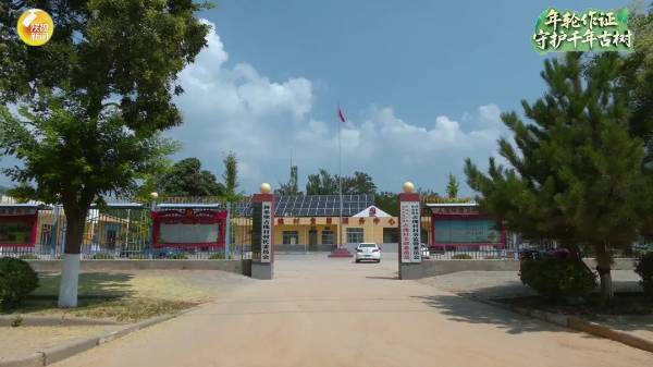 1756876047216819.jpg 13.jpg