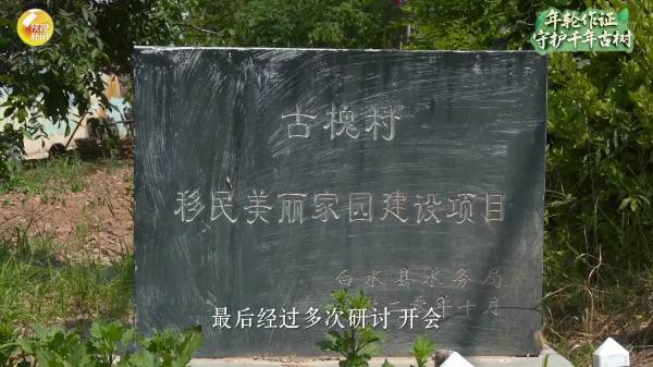 1756876051516161.jpg 14.jpg