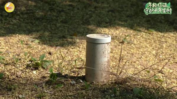 1756876059143000.jpg 15.jpg