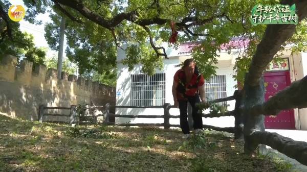 1756876071900106.jpg 16.jpg