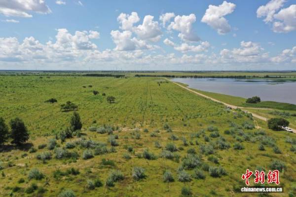 1757299875421868.jpg 2 (1).jpg