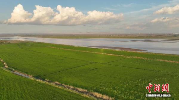 1757299973294756.jpg 3 (1).jpg