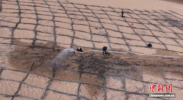 1757299993903843.jpg 4 (1).jpg