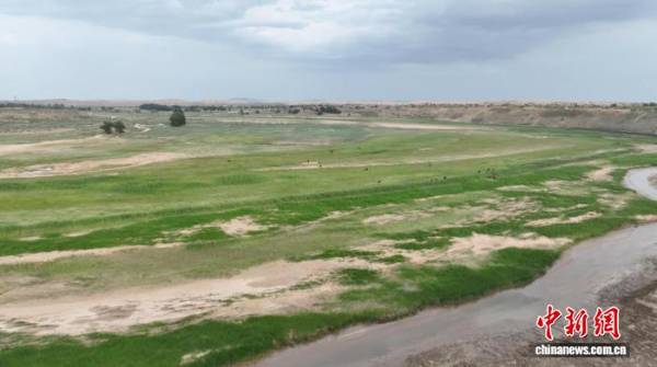 1757300003273383.jpg 5 (1).jpg