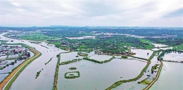 1757385991543994.jpg 2 (1).jpg