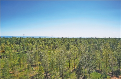 1757386151629774.jpg 3.jpg