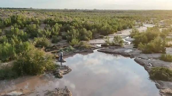 1757555244454786.jpg 1 (1).jpg