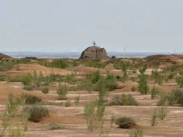 1757555269725157.jpg 3 (1).jpg