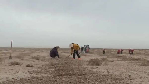 1757555292402028.jpg 5 (1).jpg