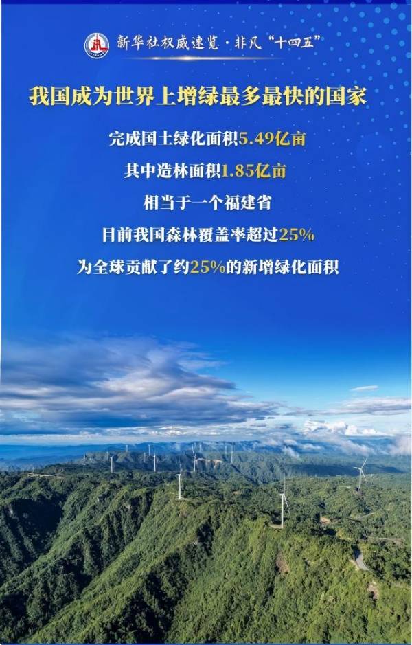 1757556038664610.jpg 1 (1).jpg