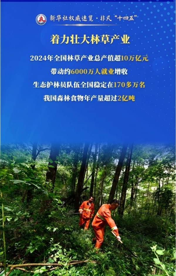 1757556048439059.jpg 3 (1).jpg