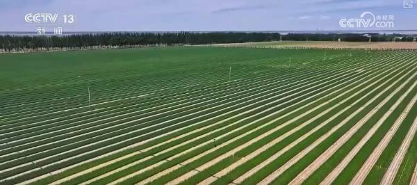 1757902797816524.png 2.png