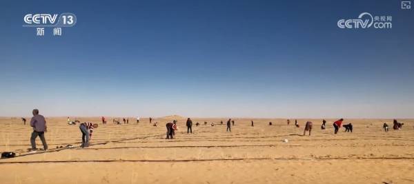 1757902810616307.png 3.png