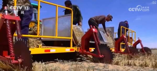 1757902864622587.png 7.png