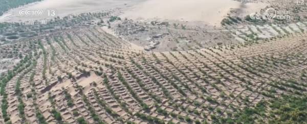 1757902914945930.png 9.png