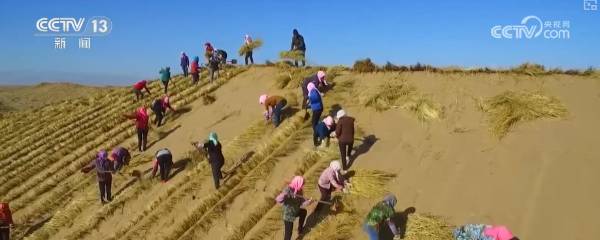 1757902917725926.png 10.png