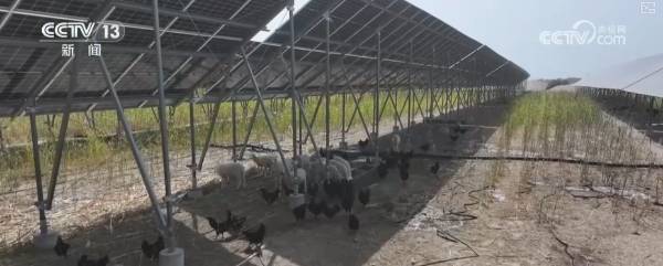 1757902937179087.png 13.png