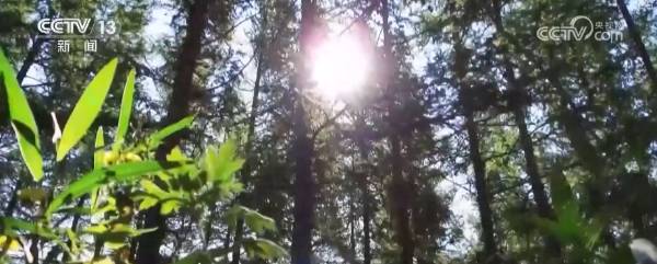 1757902940931547.png 14.png