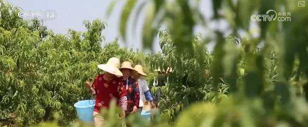 1757902979498594.png 17.png