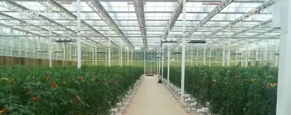 1757902982896805.png 18.png