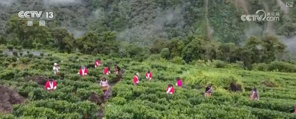 1757902985537892.png 19.png