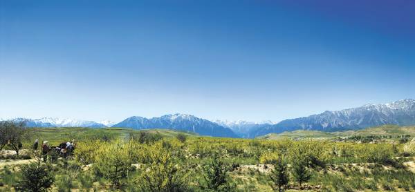 1757904534240028.jpg 3 (1).jpg