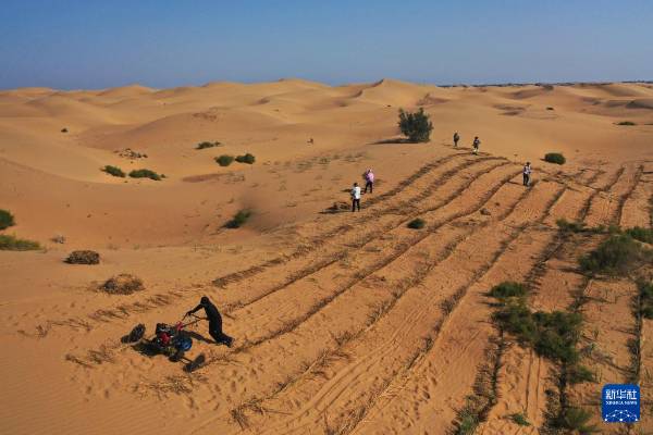 1757904830632226.jpg 1.jpg