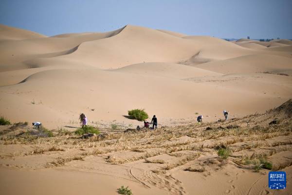 1757904961990269.jpg 3.jpg