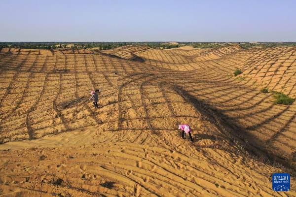 1757904967691508.jpg 4.jpg