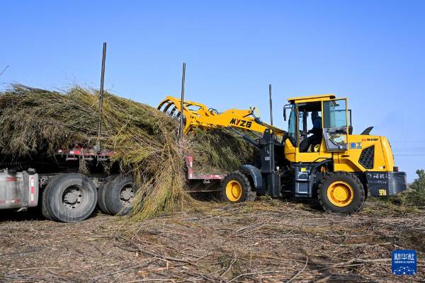 1757904975909331.jpg 5.jpg