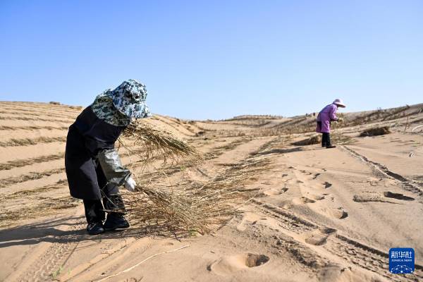 1757904981394083.jpg 6.jpg