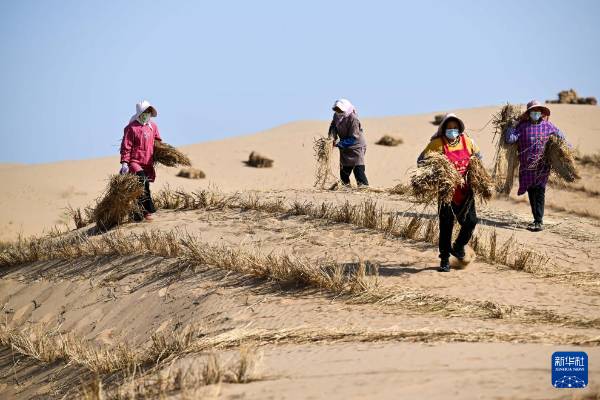 1757904987512913.jpg 7.jpg