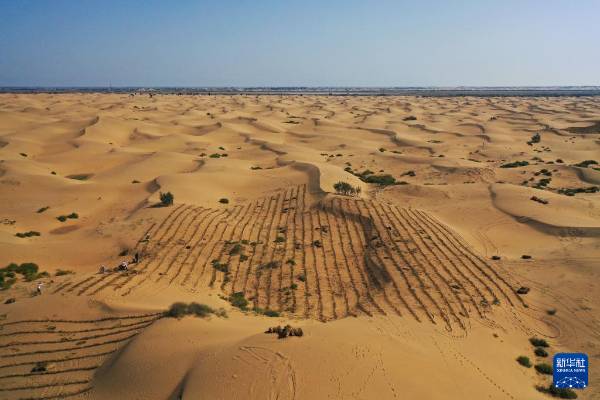 1757904995943020.jpg 8.jpg