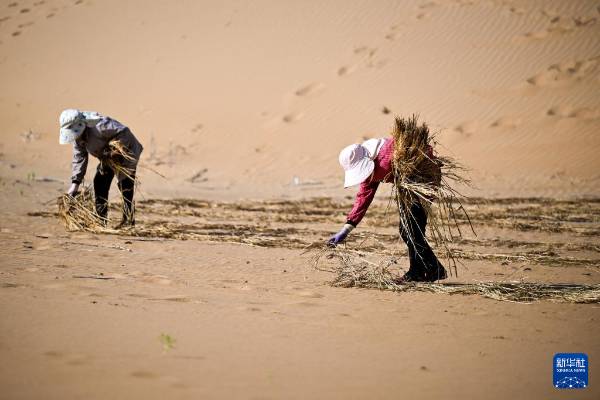 1757905001994640.jpg 9.jpg