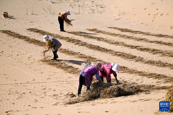 1757905007530128.jpg 10.jpg