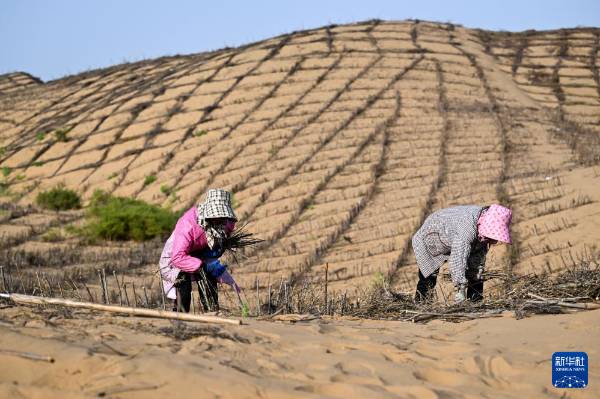 1757905015721922.jpg 11.jpg