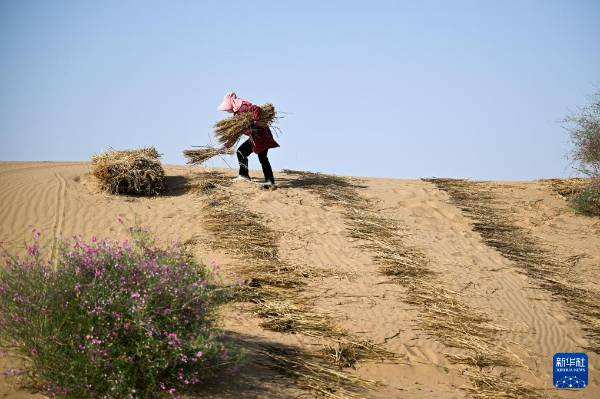 1757905033422597.jpg 12.jpg