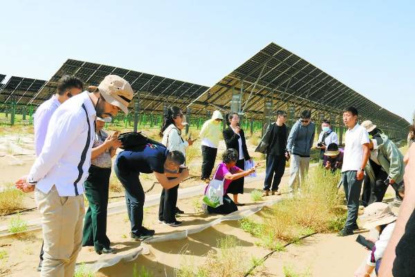 1757992476897607.jpg 1 (1).jpg